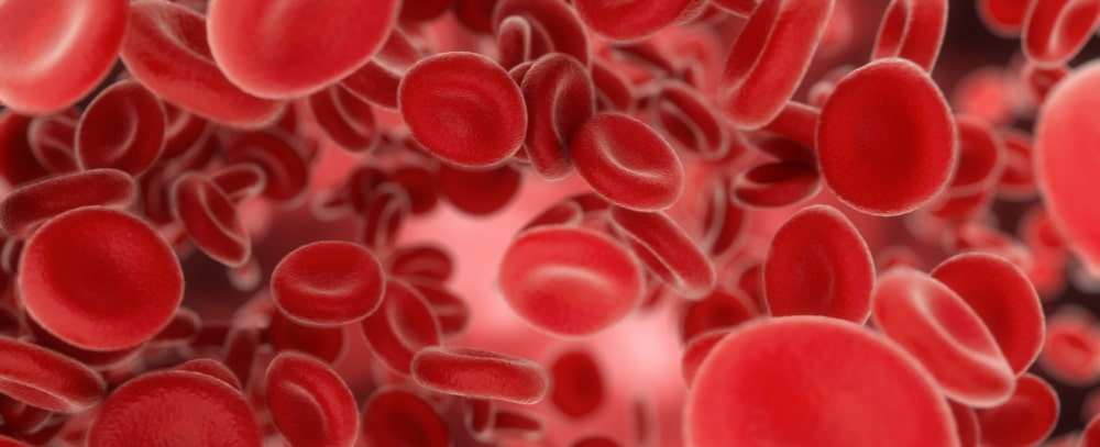 blood